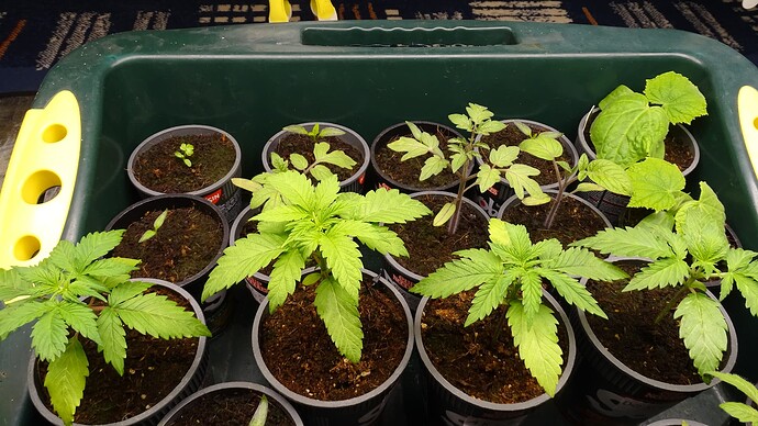 Growreport Bild 14