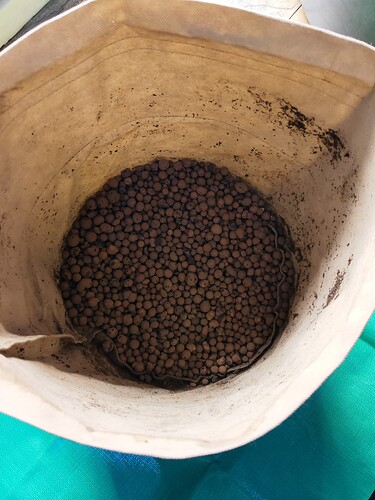Growreport Bild 5