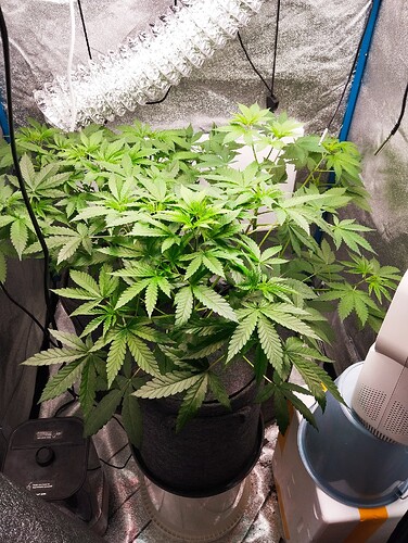 Growreport Bild 1