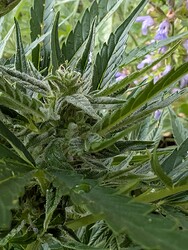 PXL_20250614_165940222