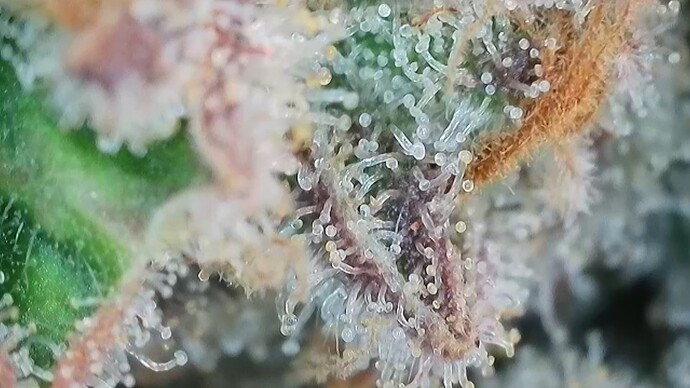 Growreport Bild 17