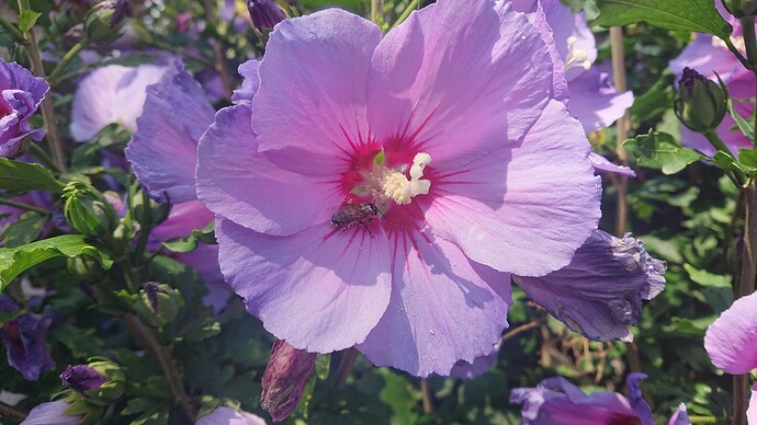 Growreport Bild 71