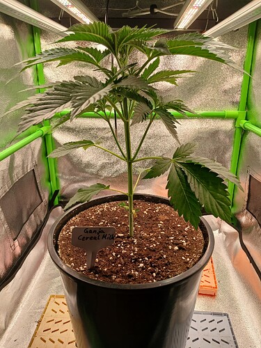 Growreport Bild 12