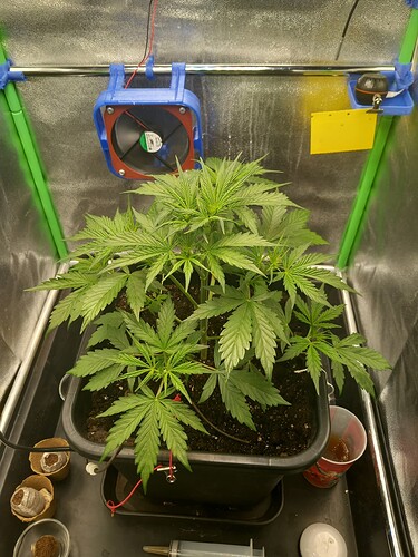 Growreport Bild 11