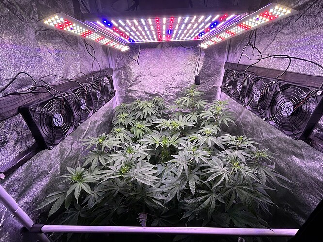 Growreport Bild 22