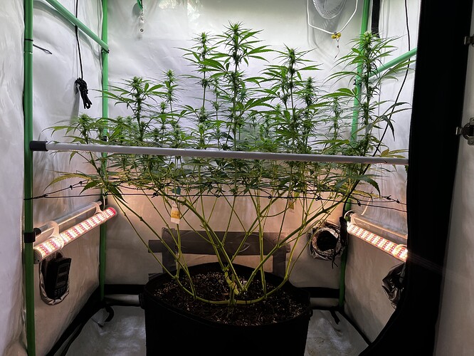 Growreport Bild 3
