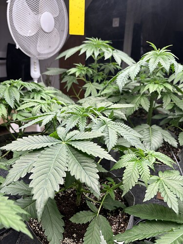 Growreport Bild 9