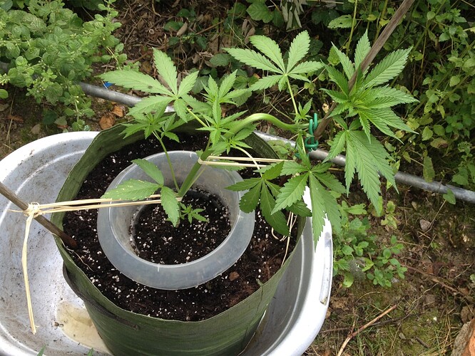 Growreport Bild 10