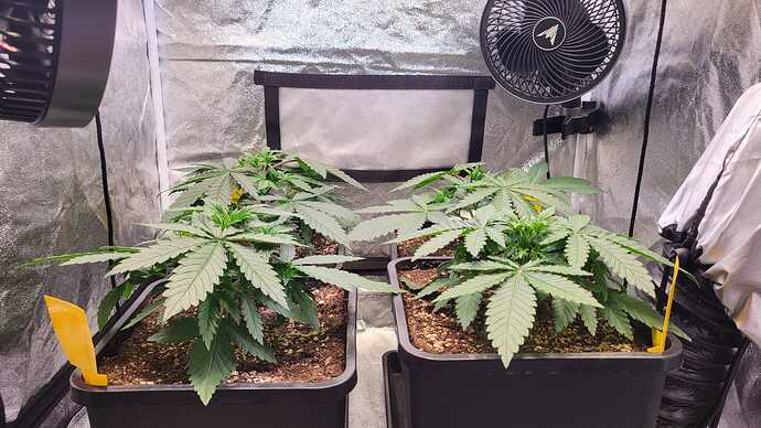 Growreport Bild 3