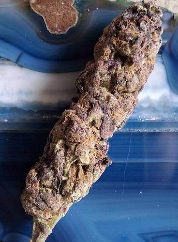 Growreport Bild 46