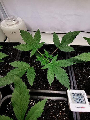 Growreport Bild 7