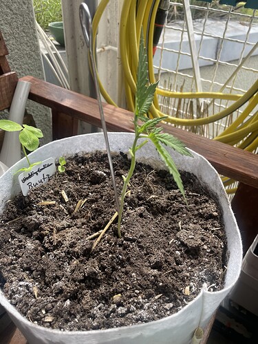 Growreport Bild 19