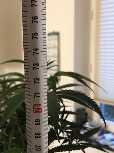 Growreport Bild 23