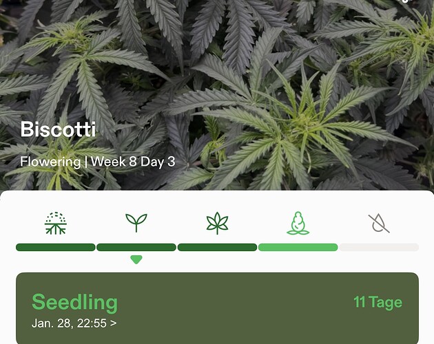Growreport Bild 14