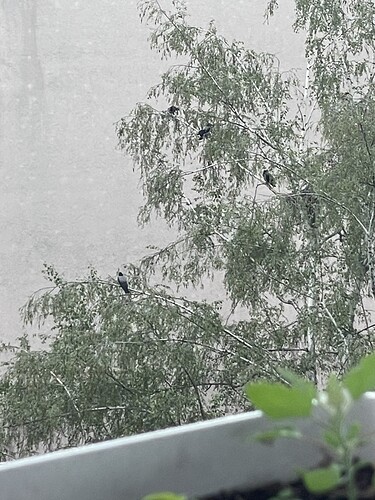 Growreport Bild 7