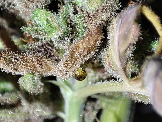 Growreport Bild 16