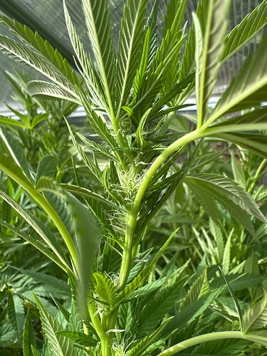 Growreport Bild 2