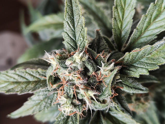 Growreport Bild 14