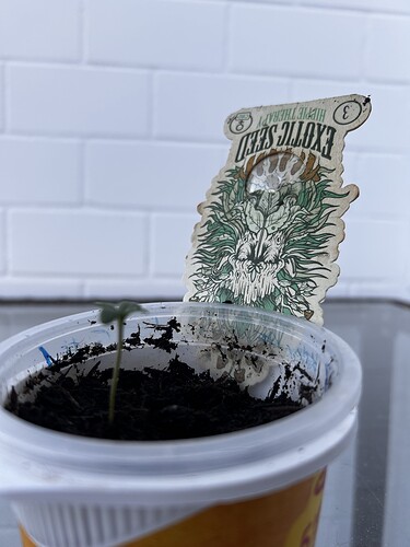 Growreport Bild 22
