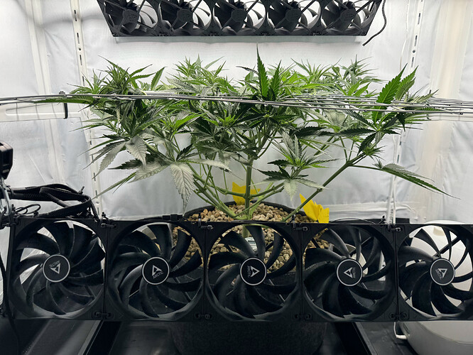 20240516_211015380_iOS