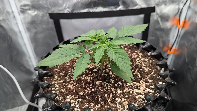 PXL_20240711_200445366.MP