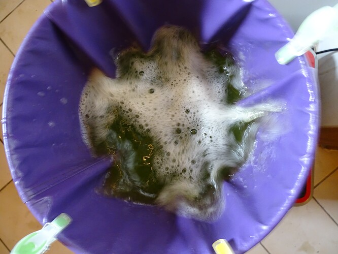 Growreport Bild 31