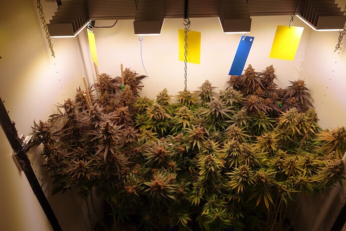 Growreport Bild 14