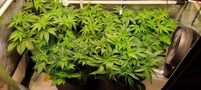 Growreport Bild 18