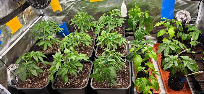 Growreport Bild 24