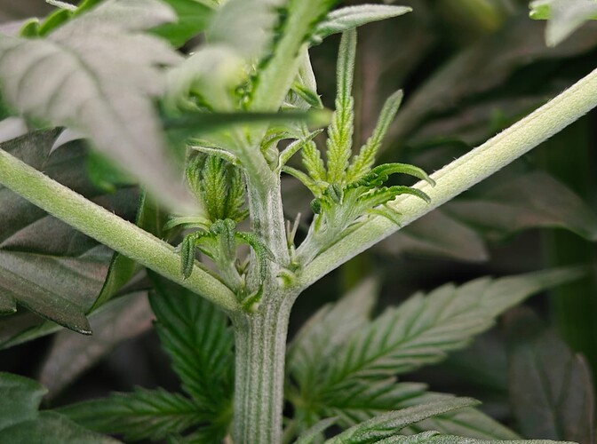Growreport Bild 18