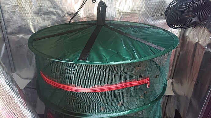Growreport Bild 49