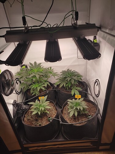 Growreport Bild 10
