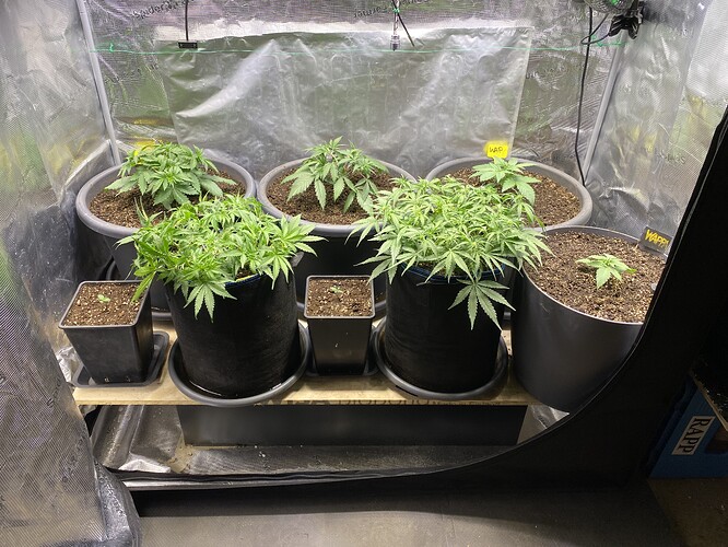 Growreport Bild 86