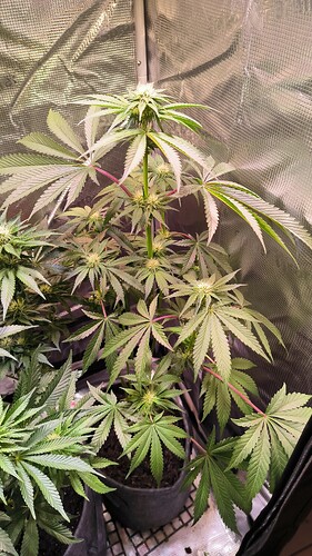 Growreport Bild 11