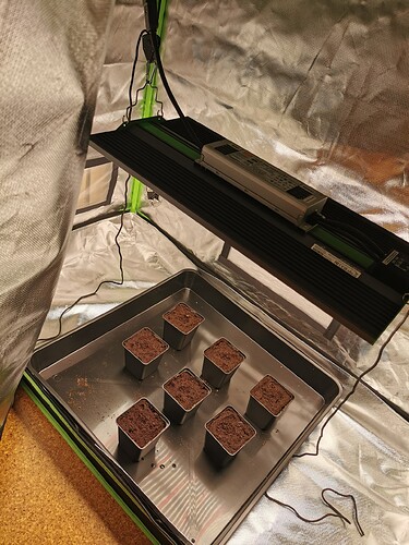 Growreport Bild 1