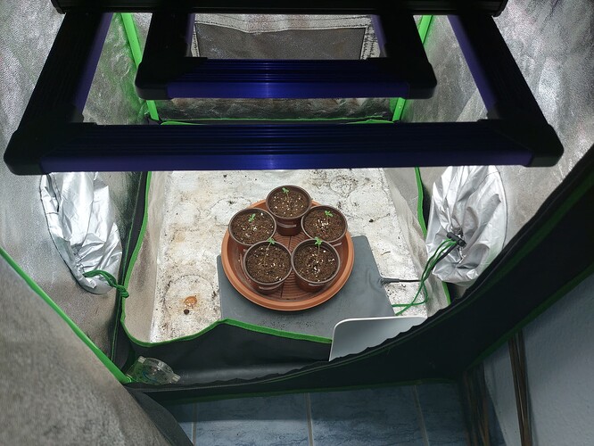 Growreport Bild 17