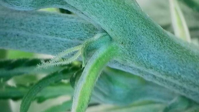 Growreport Bild 5