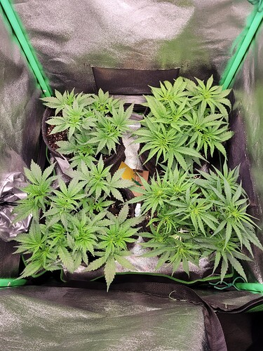 Growreport Bild 16