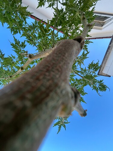 Growreport Bild 9