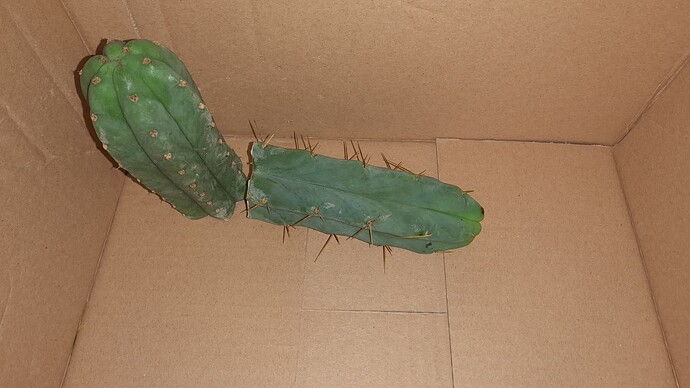 Growreport Bild 11