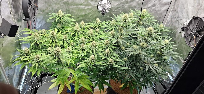 Growreport Bild 4