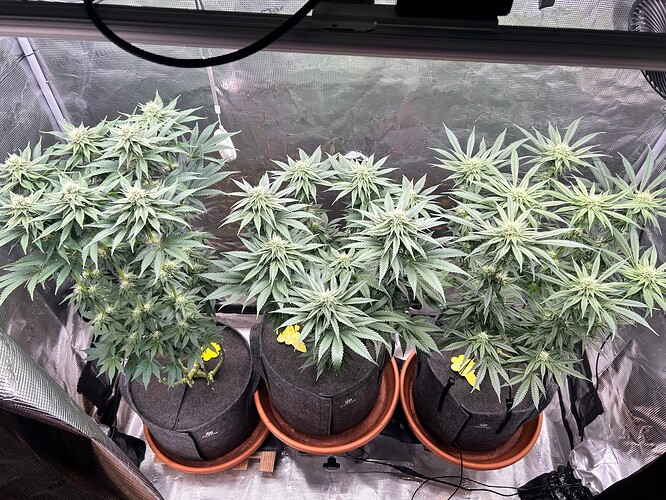 Growreport Bild 20