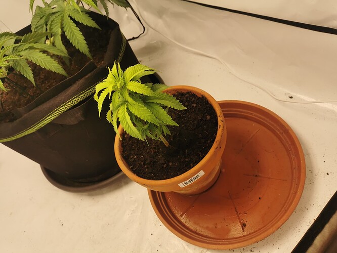 Growreport Bild 10