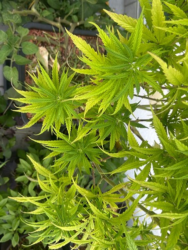 Growreport Bild 17