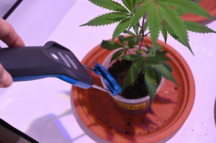 Bildschirmfoto 2025-01-05 um 16.49.03