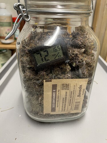 Growreport Bild 19