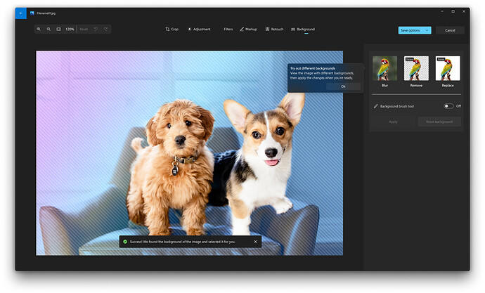 9ac95b7d-35ac-4067-8a17-a271b0e2b2db