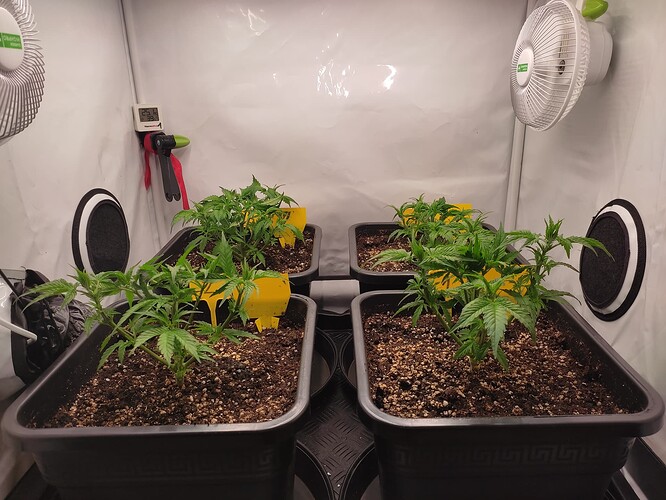 Growreport Bild 16