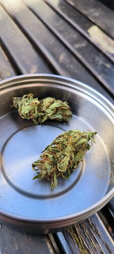 Growreport Bild 29