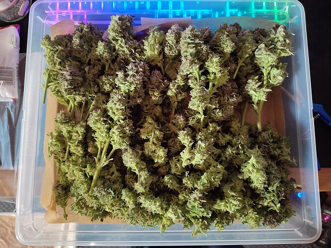 Growreport Bild 15